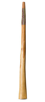 Heartland Didgeridoo (HD431)